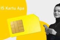0815 Kartu Apa