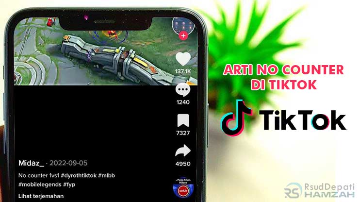 Arti No Counter di TikTok