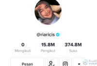 Cara Melihat Akun Tiktok yang Di Private Tanpa Follow