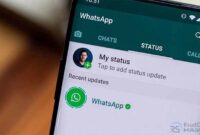 Cara Melihat Status WA yang Diprivasi