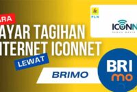 Cara Bayar Iconnet Lewat BRImo Kode BRIVA & Admin