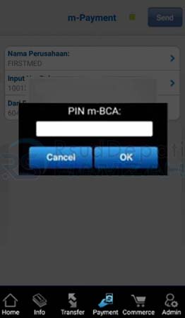 pin