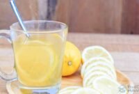 resep minuman penurun kolesterol
