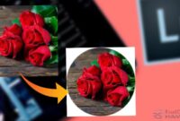 CARA MEMBUAT FRAME DI LIGHTROOM ANDROID