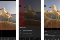 Cara Blur di Lightroom Android