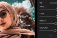 Cara Mengembalikan Preset Lightroom yang Hilang Di Android