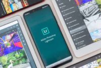 Cara Menyimpan Efek di Lightroom Android