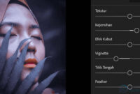 Rumus Lightroom Aesthetic