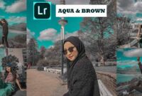Rumus Lightroom Aqua and Brown Aesthetic Ala Selebgram!!
