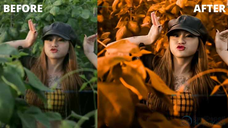 Rumus Lightroom Keren dan Hasilnya