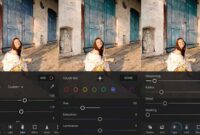 cara menghilangkan watermark di lightroom android