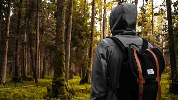 rumus lightroom alam hutan