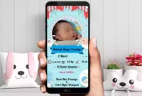 Aplikasi Frame Biodata Bayi