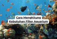 Cara Menghitung Kebutuhan Filter Aquarium
