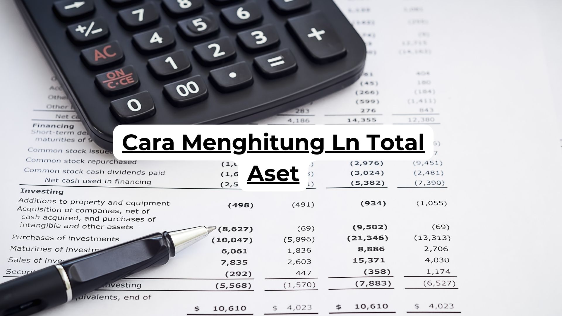 Cara Menghitung Ln Total Aset