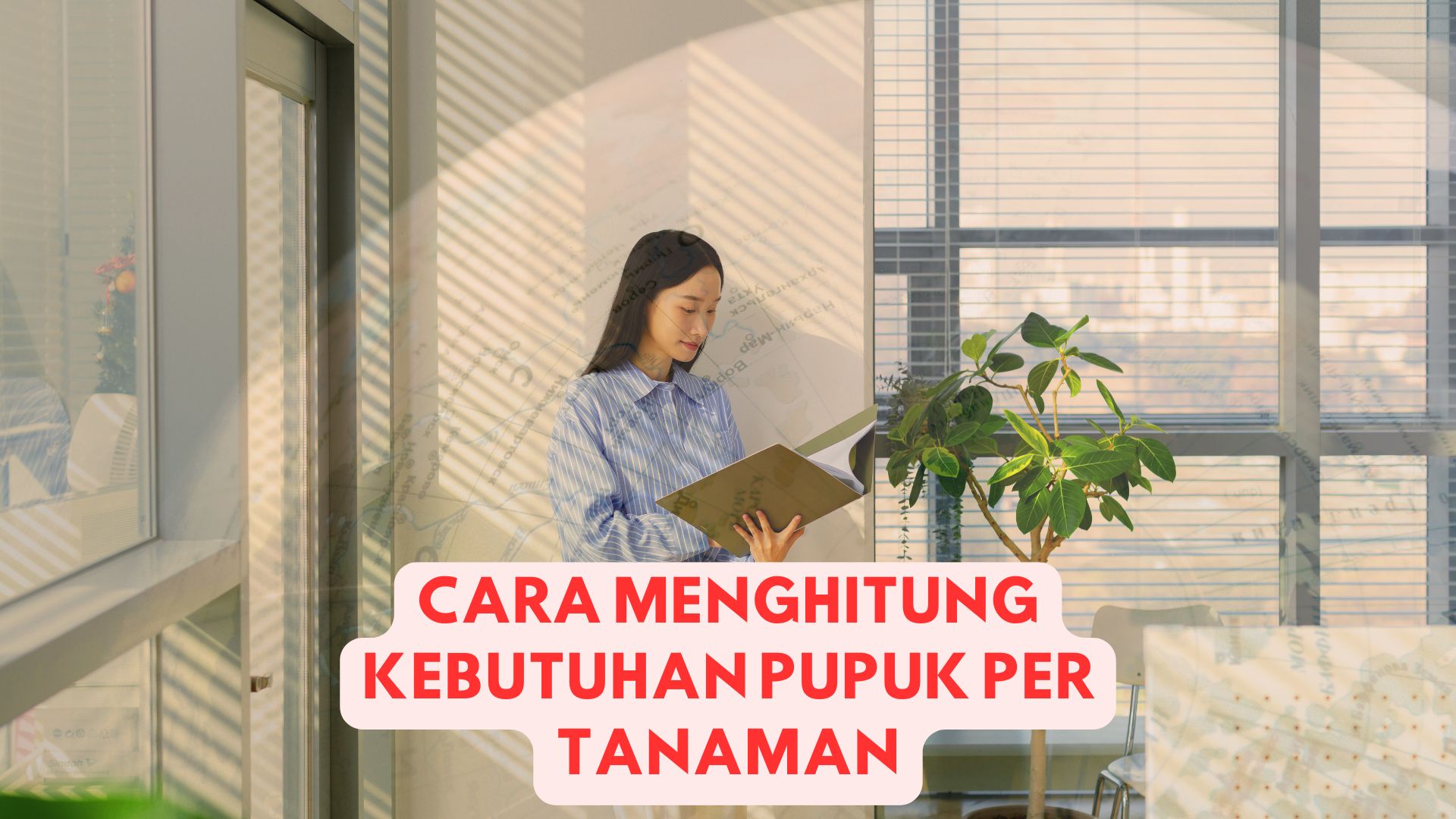 Cara Menghitung Kebutuhan Pupuk Per Tanaman