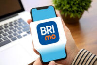 Brimo Tidak Bisa Login